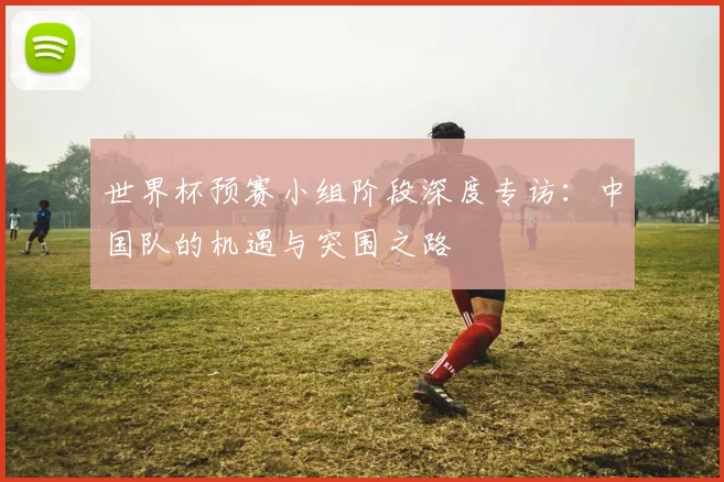 世界杯预赛小组阶段深度专访：中国队的机遇与突围之路
